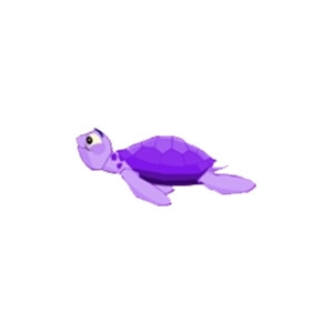 Purple Turtle Baby